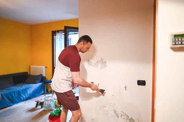 Best Mold Remediation for Schools in Fruitport, MI